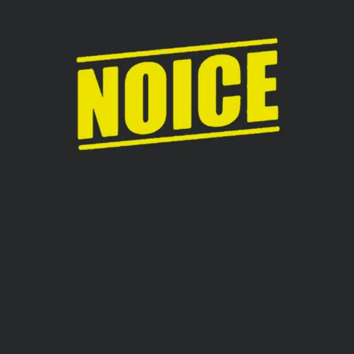 Brooklyn 99 Noice Funny Quote