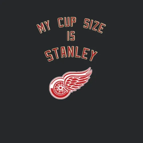 Detroit Red Wings Tshirt Red Wings My Size Is Stanley Red Wings Birthday
