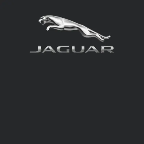 Jaguar Black