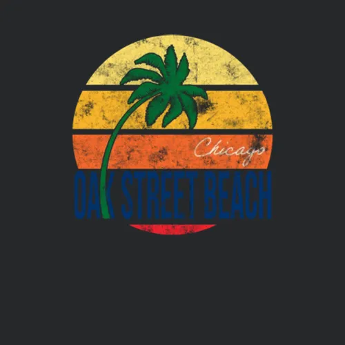 Oak Street Beach Chicago Vintage Grunge Travel