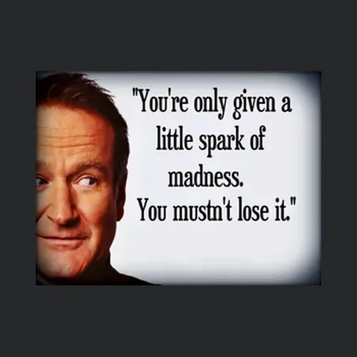 Robin Williams Quote