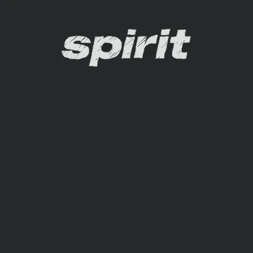 Spirit Airlines Travel Logo