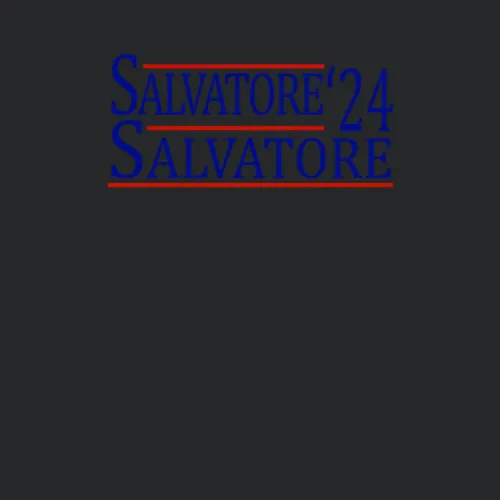 Stefan Salvatore Damon Salvatore For President 24 The Vampire Diaries