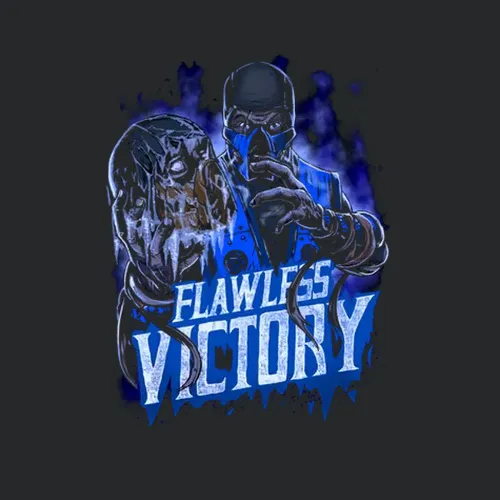 Sub Zero Mortal Kombat Flawless Victory