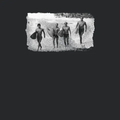 The Endless Summer Movie Grunge Photo