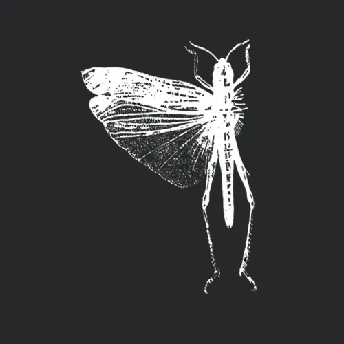 The Locust Band Poady Hot Stuff