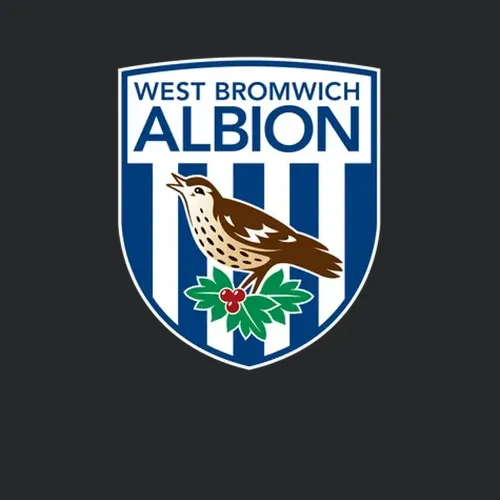 West Bromwich Albion Sports Pig In