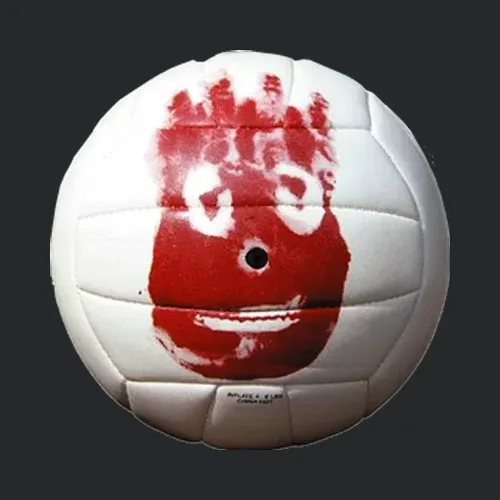 Wilson Castaway Volleyball Funny