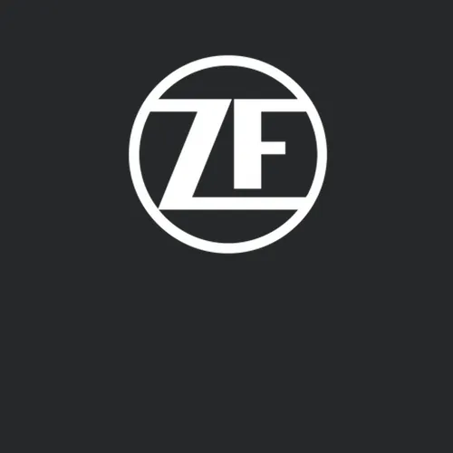 Zf Friedrichshafen Manufacturing Pig In