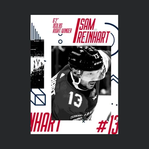 Sam Reinhart Profile