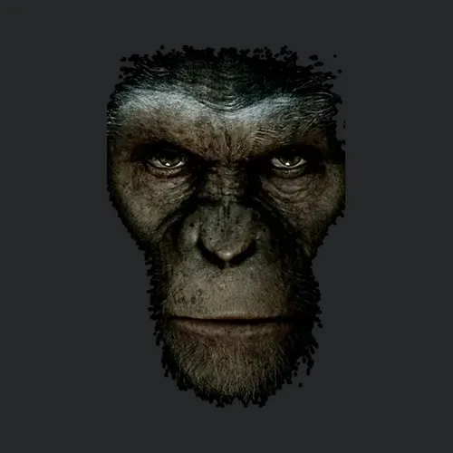 Rise Of The Planet Of The Apes Movie