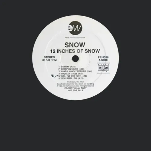 Snow Informer 12 Inches Of Snow Rap 1993 Record Fan