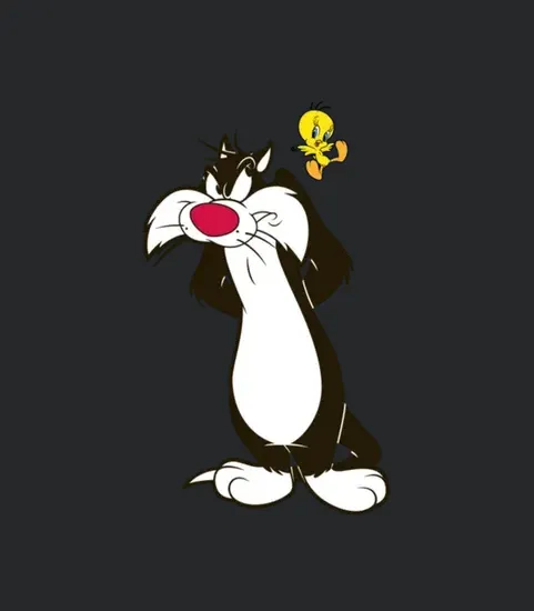 Looney Tunes Sylvester And Tweety Pose