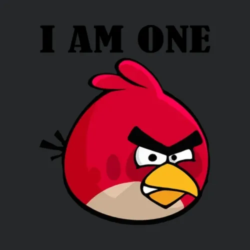 Angry Birds Video Game I Am One Angry Bird