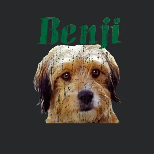 Benji Retro 1974 Vintage Movies Lovers
