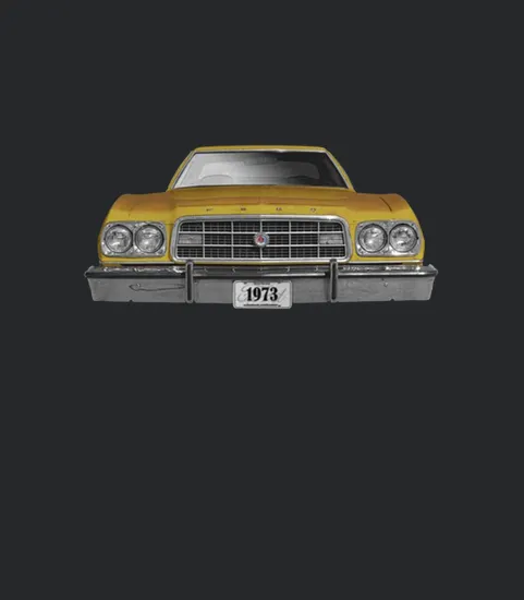 1973 Ford Gran Torino Two Sided Gold