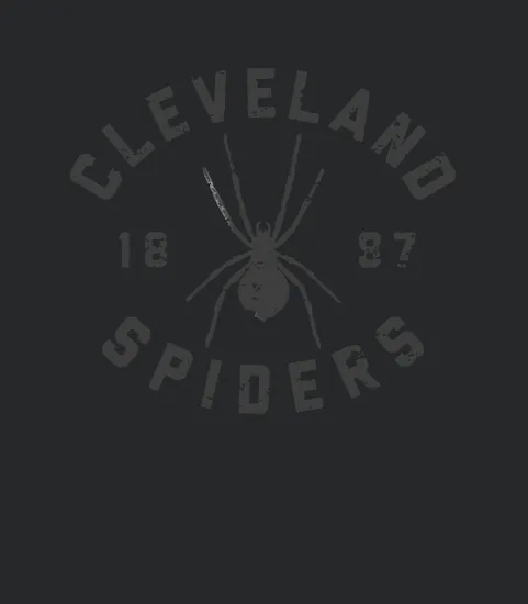 Cleveland Spiders Vintage Tee Black Print