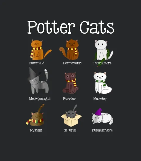 Harry Pawter Cute Kitten Potter Cats