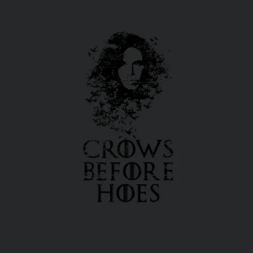 Game Of Thrones Tshirt Jon Snow Tshirt Game Of Thrones Crows Before Hoes Jon Snow Tshirt Gift