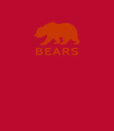 Chicago Bear Nfl American Football Jersey