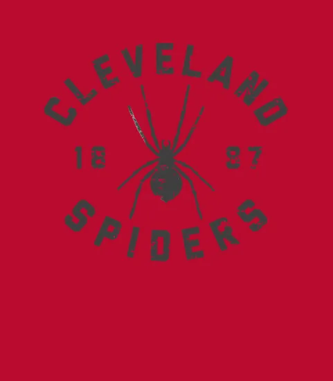 Cleveland Spiders Vintage Tee Black Print