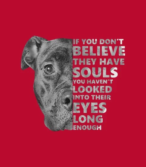 Pitbull If You Dont Believe They Have Souls You Havent Looked Into Ther Eyes Long Enough