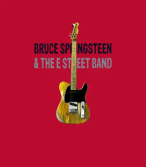 Bruce Springsteen And The E Street Band Guitar