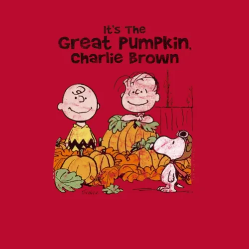 Its The Great Pumpkin Charlie Brown 60s Tv Series Show Worn Vint