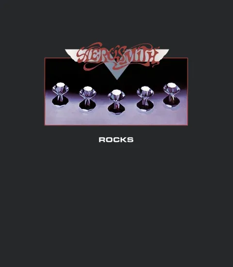 Bsa Aerosmith Rocks