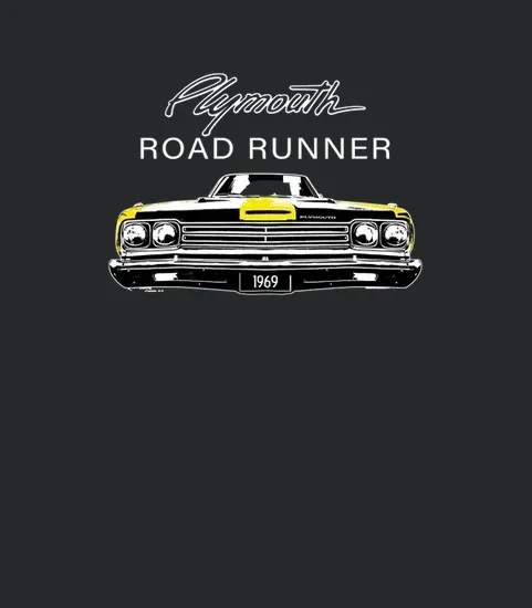Plymouth 1969 Road Runner Back
