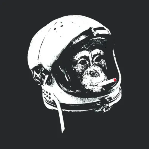 Astronaut Monkey Funny Smoking
