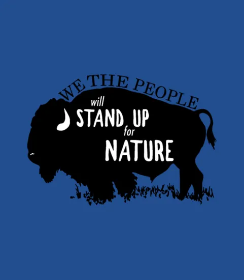 Alt Us National Park Service Bison