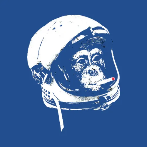 Astronaut Monkey Funny Smoking