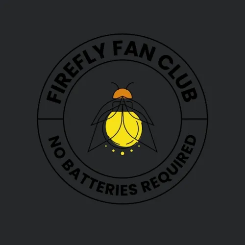 Fireflies Firefly Lightning Bug Insect Collector