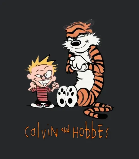 90s Calvin And Hobbes