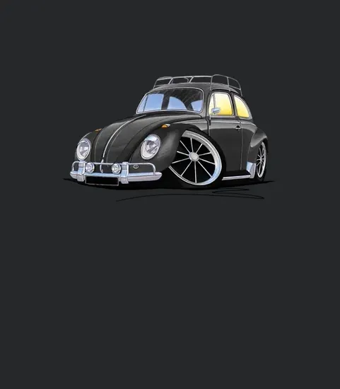 Wtvolkswagen Beetle 1