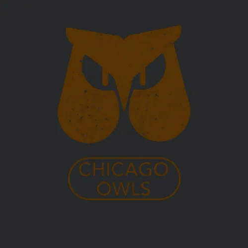 Chicago Owls Cfl Continental Football League Vintage Team Logo