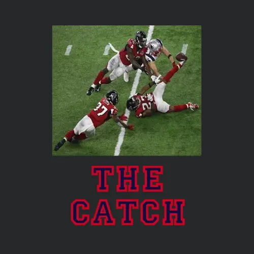 The Catch Julian Edelman New England Patriots Super Bowl Catch