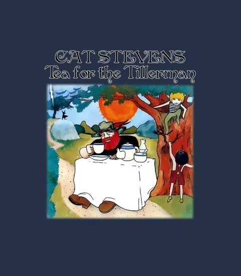 Rk70s 045 Tea For The Tillerman 1970 Cat Stevens
