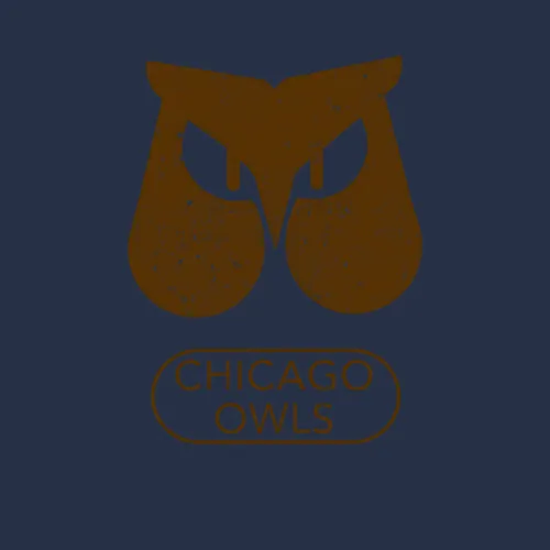 Chicago Owls Cfl Continental Football League Vintage Team Logo