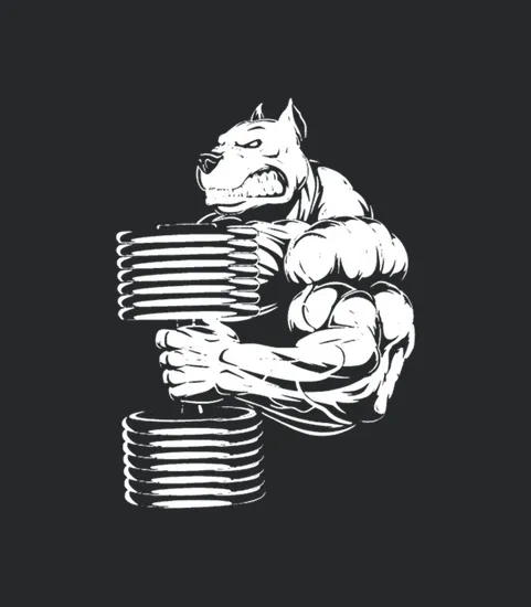Bulldog Gym Mens Funny Mma Training Weightlifting