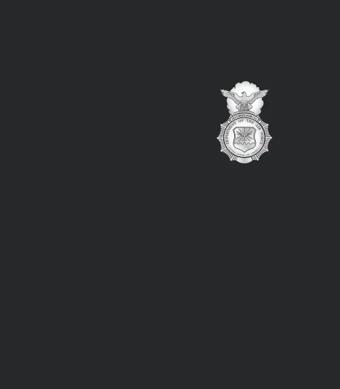 Air Force Security Forces Defender Badge Military