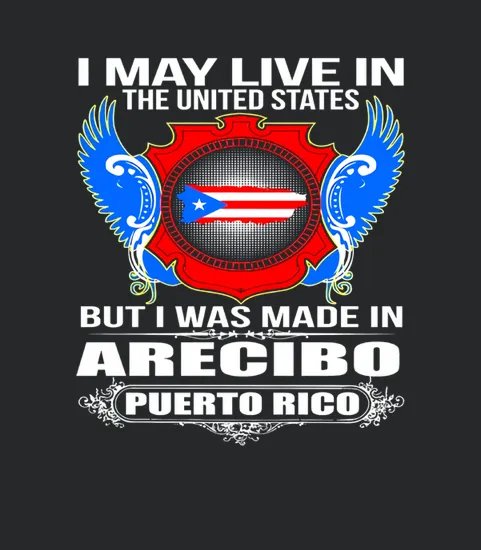 Arecibo Puerto Rico Patriotic Gifts Tees Black Youth