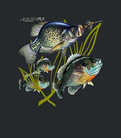 Black Fly Crappie Bluegill Fishing Panfish Flies Jig