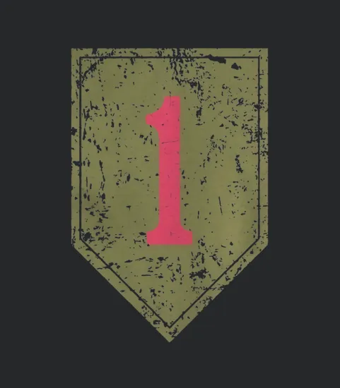 Distressed Big Red One 1st Infantry Division T 20357