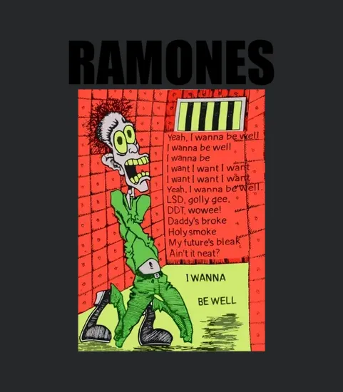 2 Sides 1980s The Ramones Vintage Rare Original Punk Rock Band 1988 Concert Tour