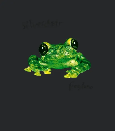 Rk90s Silverchair Frogstomp