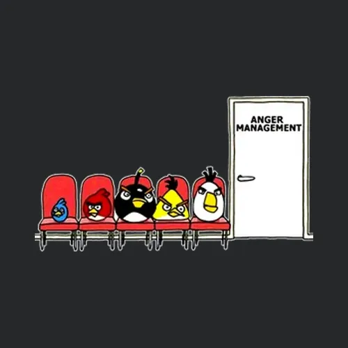 Angry Bird Anger Management