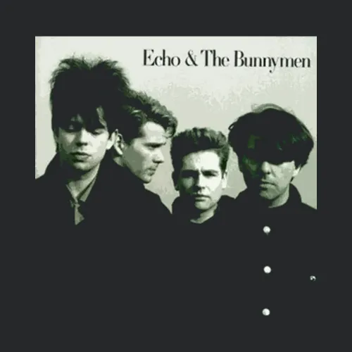 Echo And The Bunnymen New Wave Punk Rock And Roll