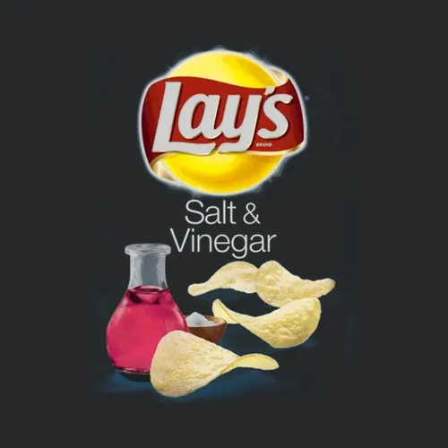 Layand039s Salt And Vinegar Potato Chips Bag Costume